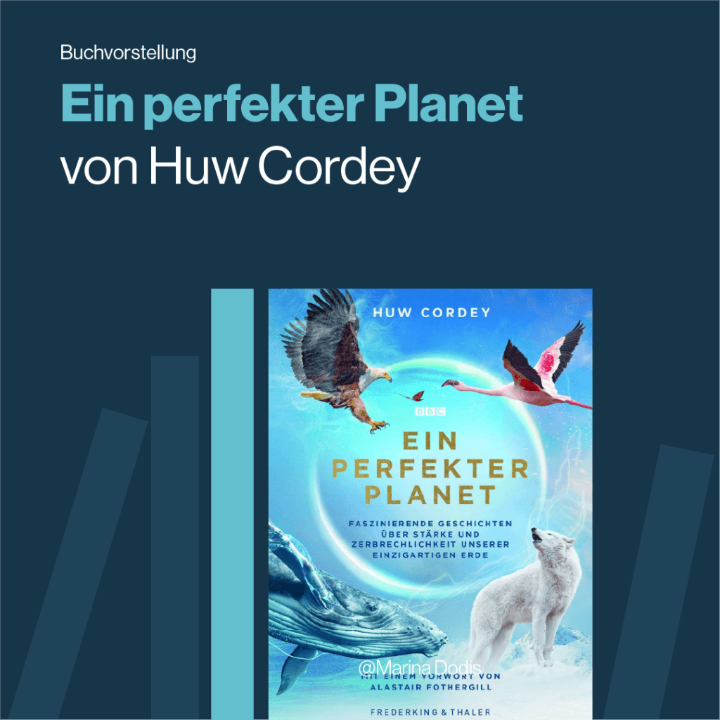 Ein perfekter Planet